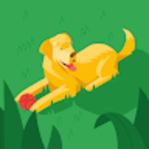 Meet your Posher, Victor